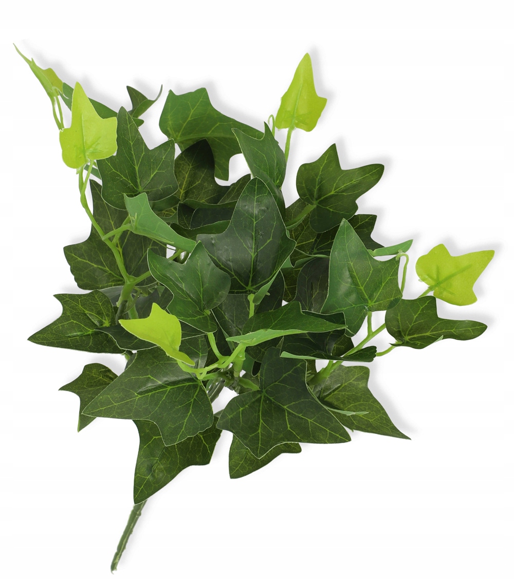 

Bukiet sztucznych listków hedera 31cm