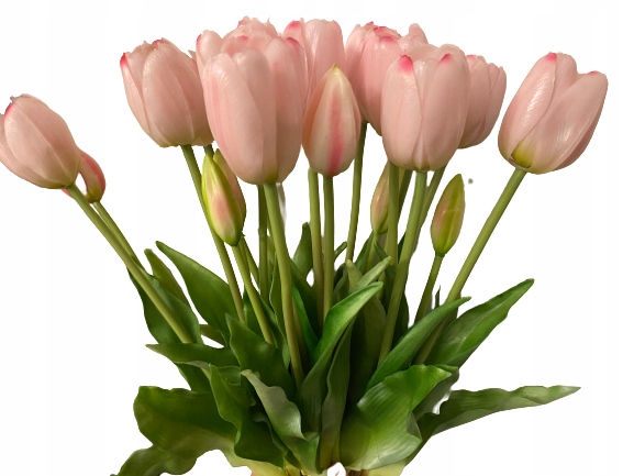 

Tulipan Tulipany Silikonowe Bukiet gumowe