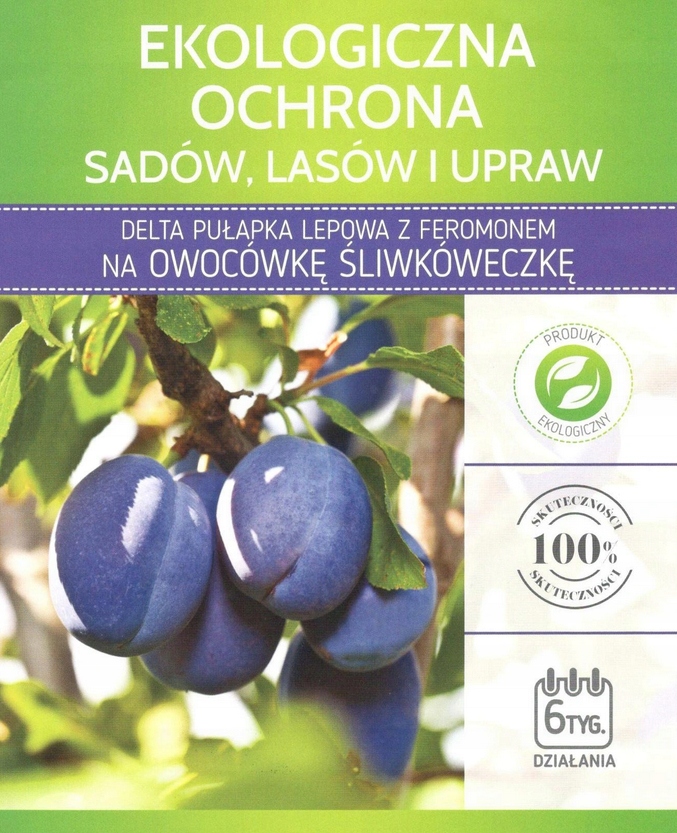 

Pułapka lepowa Owocówka Śliwkóweczka Delta+Feromon