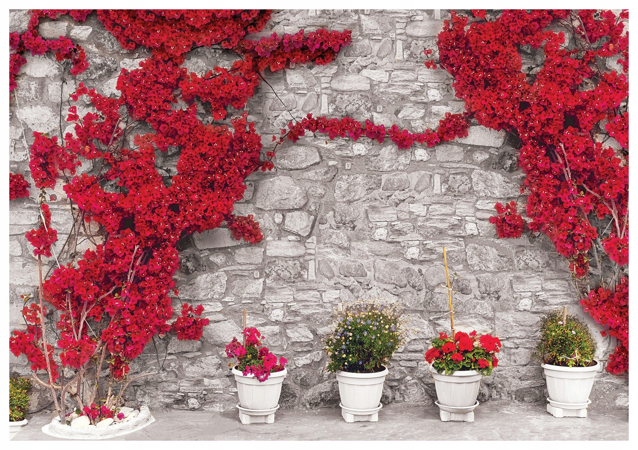 Vliesová fototapeta Bugenwilla květiny kámen dekorace 416x254 lepidlo