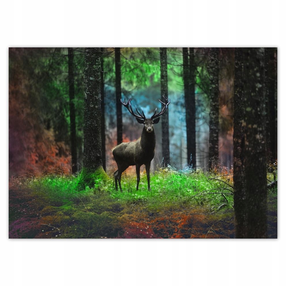 

Naklejki 70x50 Jeleń w bajecznym lesie