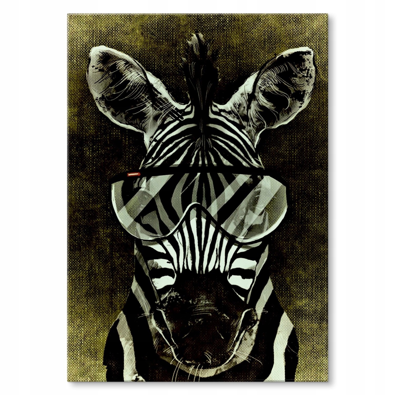 Kovový plakát Zebra styl Szyld Plech 30 x 42 cm Dárek