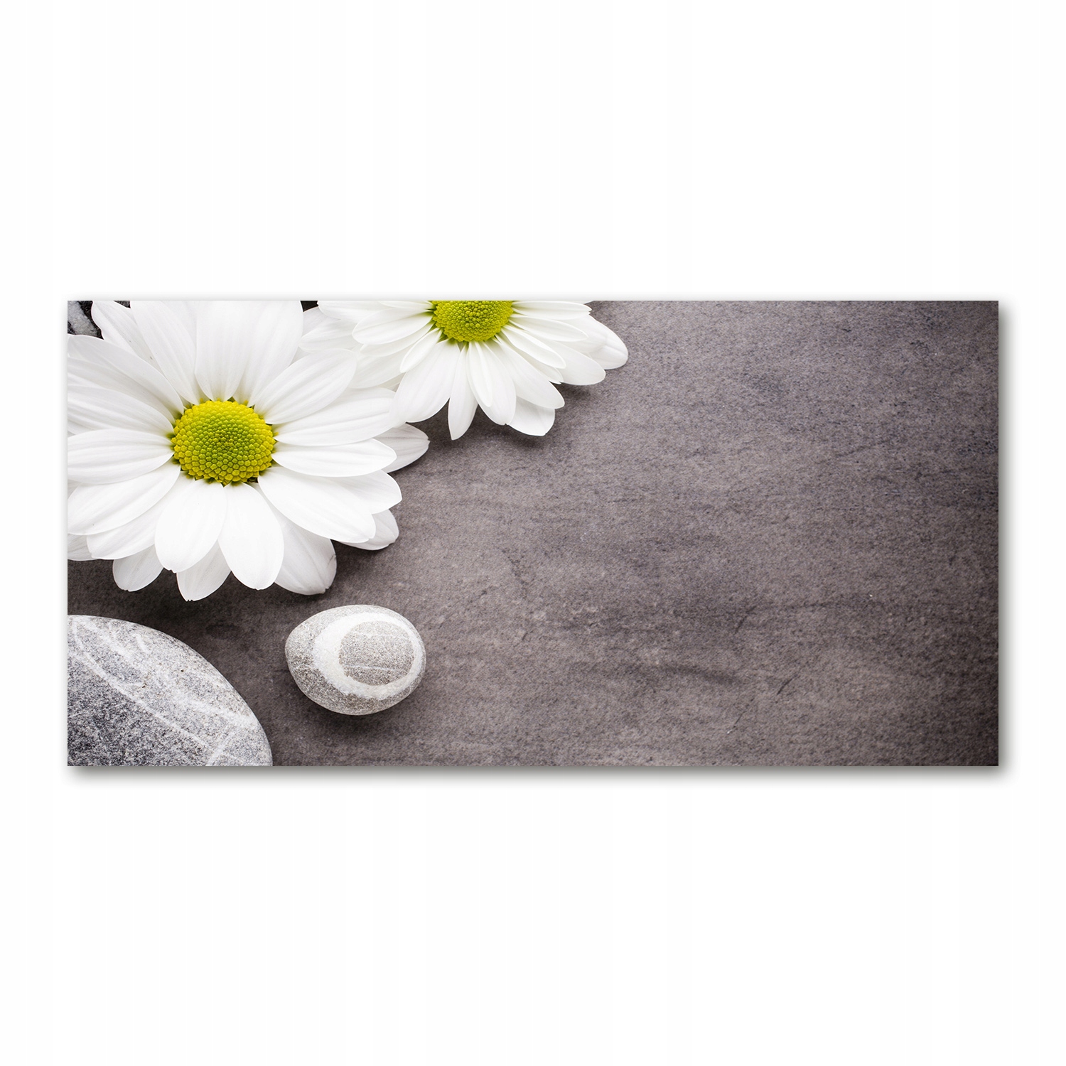 

Foto obraz duży akrylowy Gerbera zdjęcie 140x70 cm