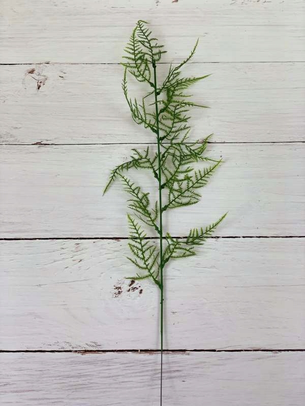 

Dodatek zielony/ E106/E013 Asparagus (70 cm)