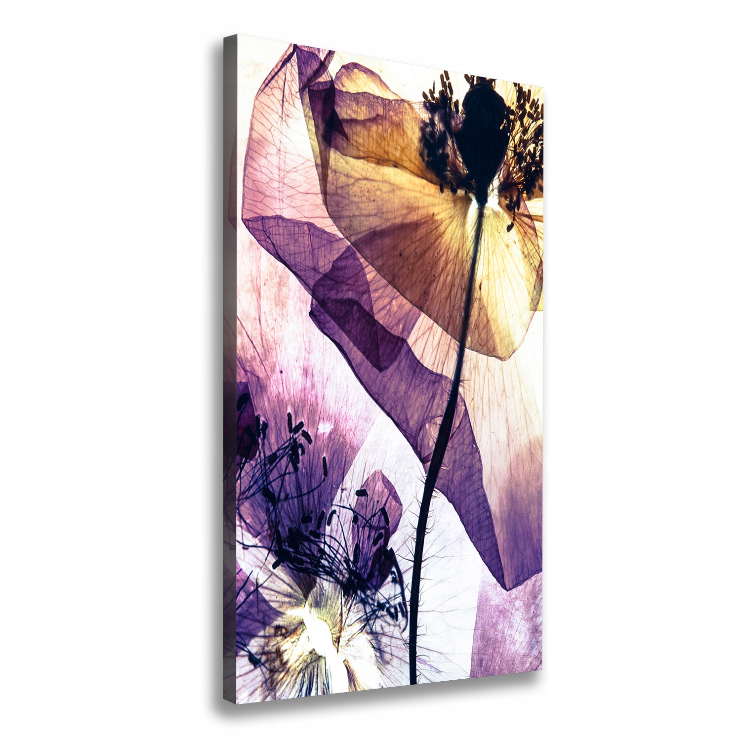 Fotoobraz vytištěný na plátně Maki 60x120 cm