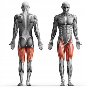 MARBO Przyrząd do ćwiczeń nóg do ławki linia Home Rodzaj inna