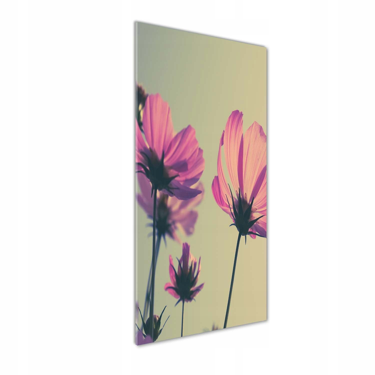 

Foto obraz szkło hartowane Różowe kwiaty 50x125 cm