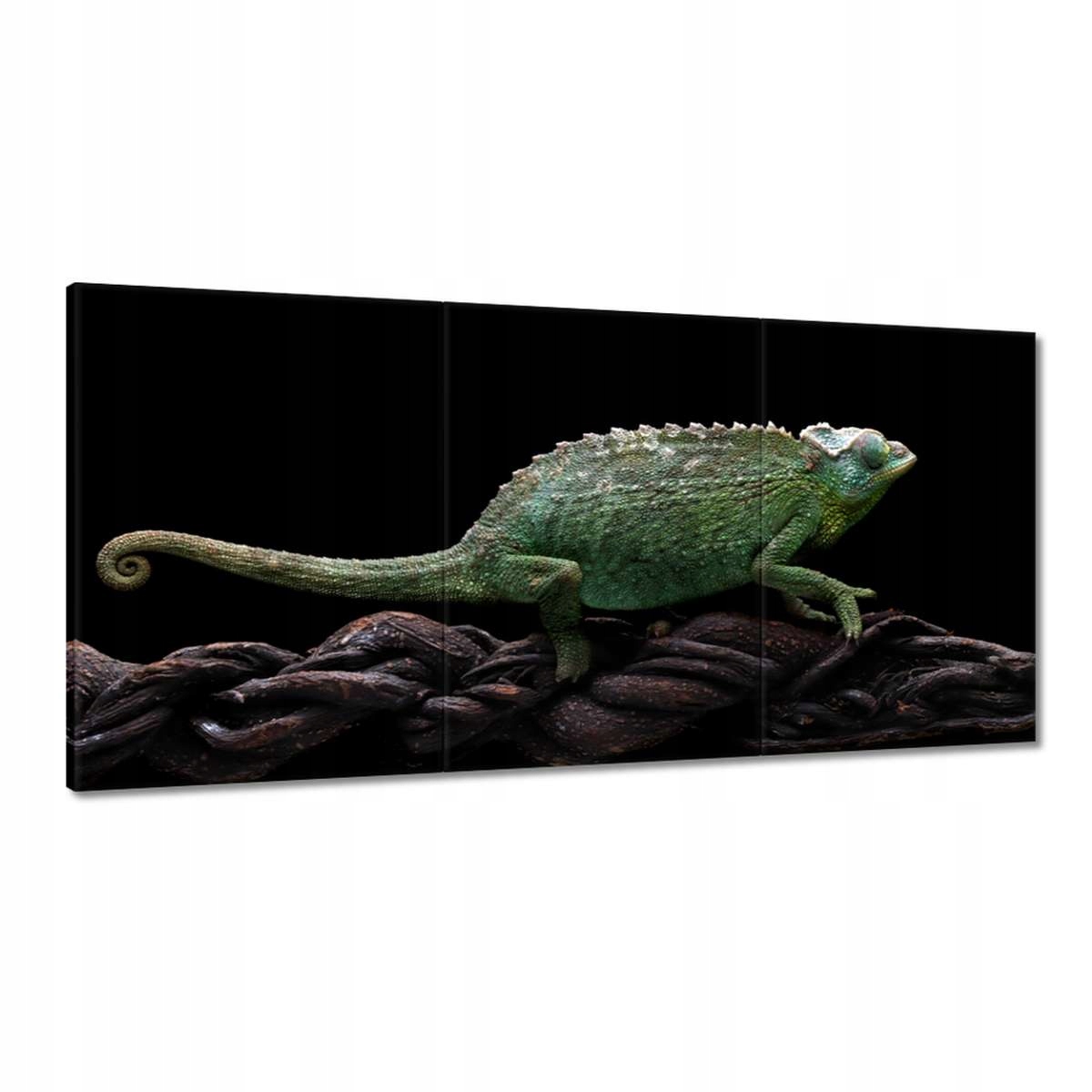Obrazy 180x90 Dlhý zelený chameleón