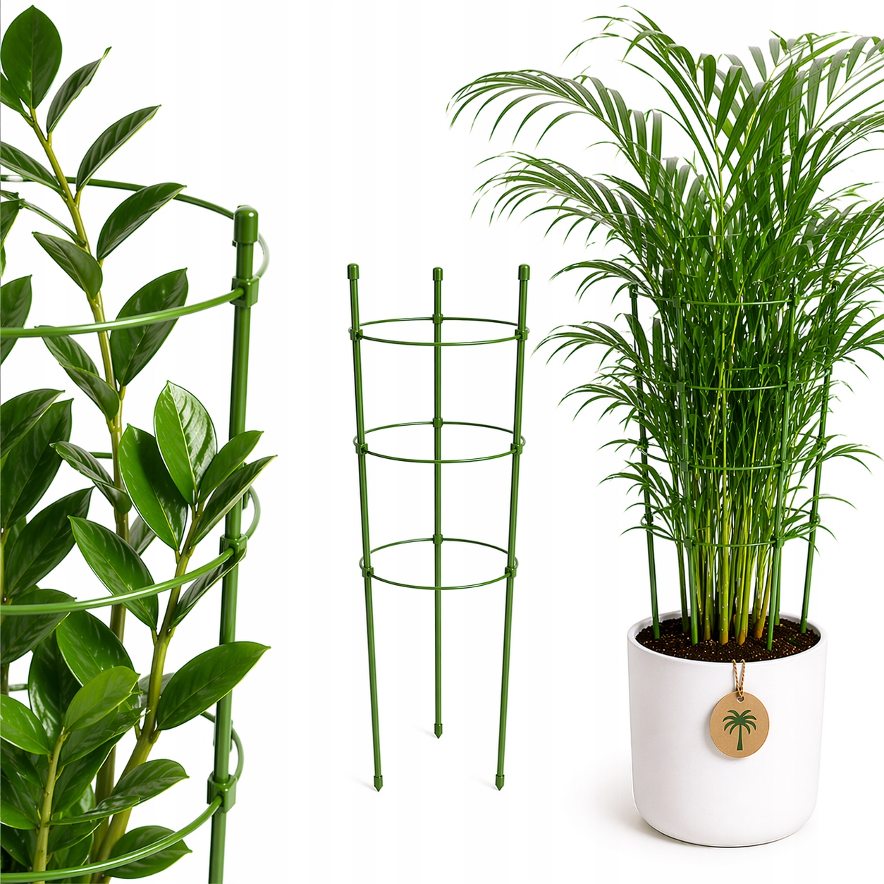 PODPORA PIERŚCIENIOWA DO ROŚLIN KWIATÓW PODPÓRKA 45 cm DO PALMY ZAMIOKULKAS