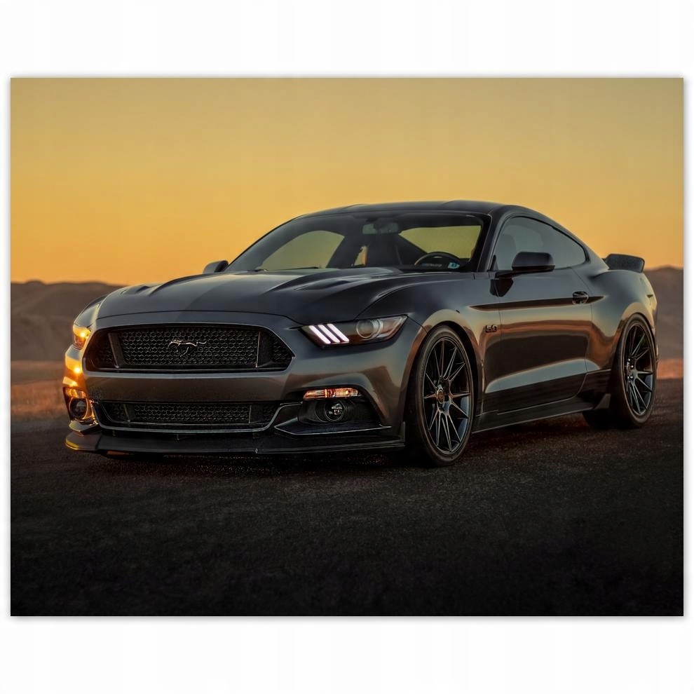 

Plakat 50x40 Ford Mustang made in Usa