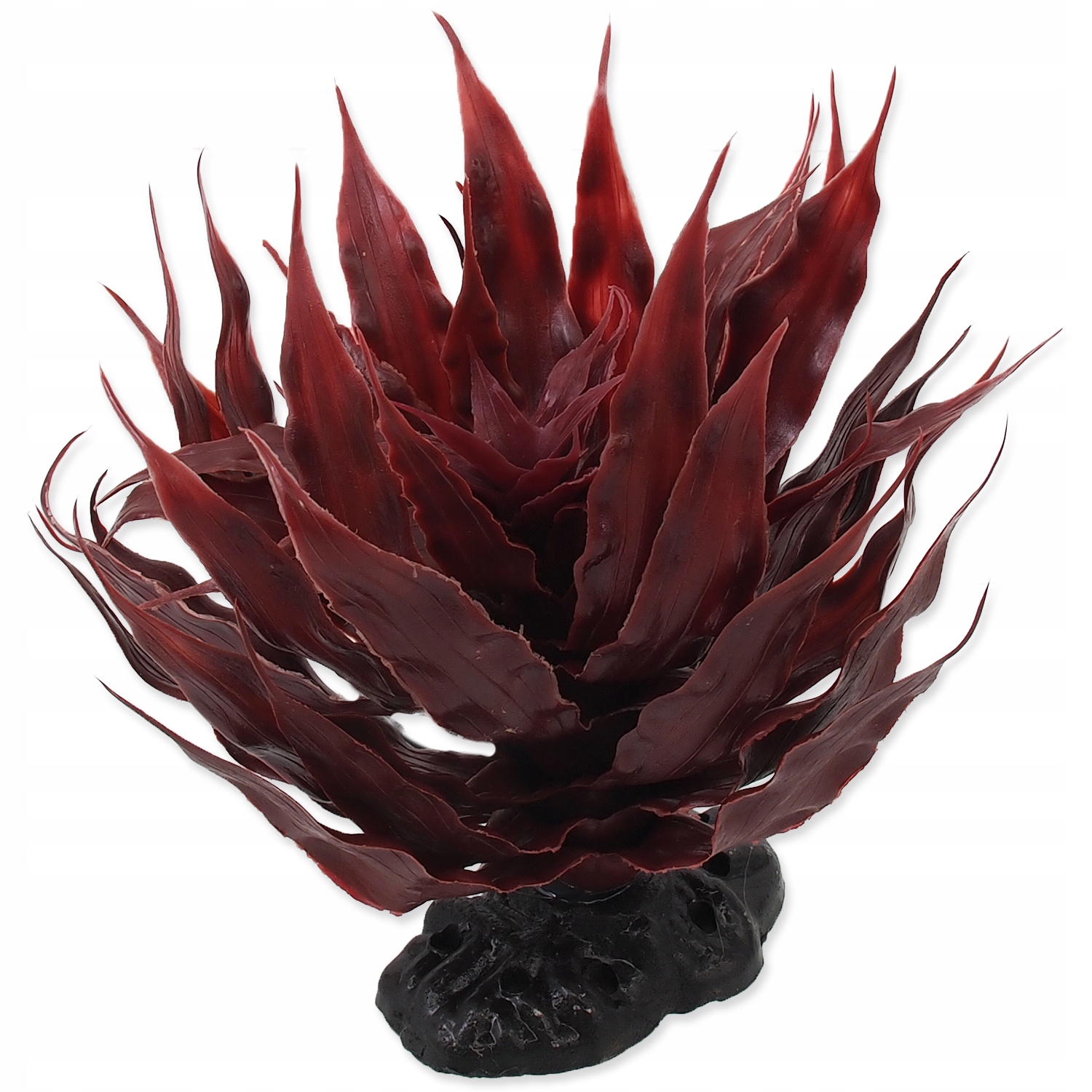 

Repti Planet Agawa sukulent czerwony 18cm roślina