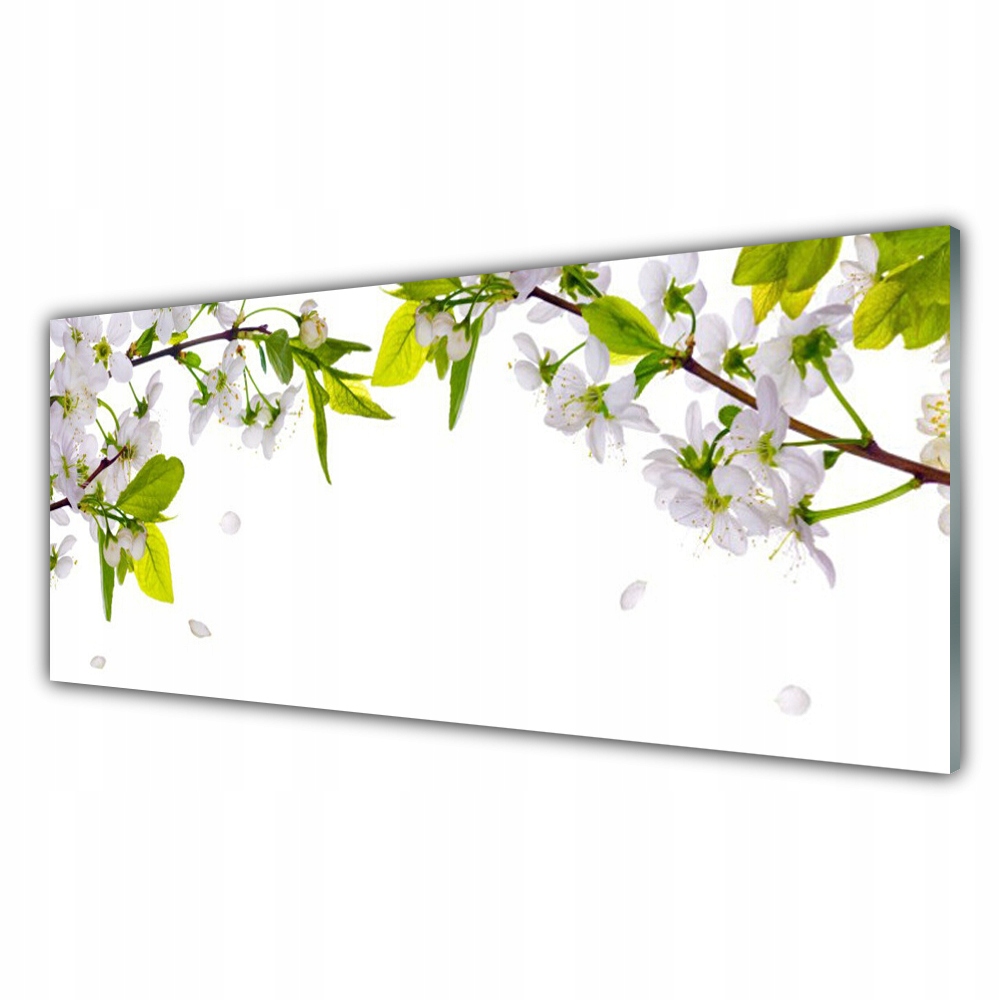 

Fotoobraz na ścianę z grafiką 125x50 Płatki Natura