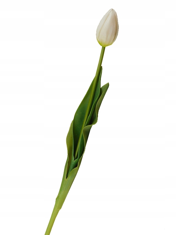 

Tulipany Silikonowe jak Żywe 38 cm Tulipan Biały
