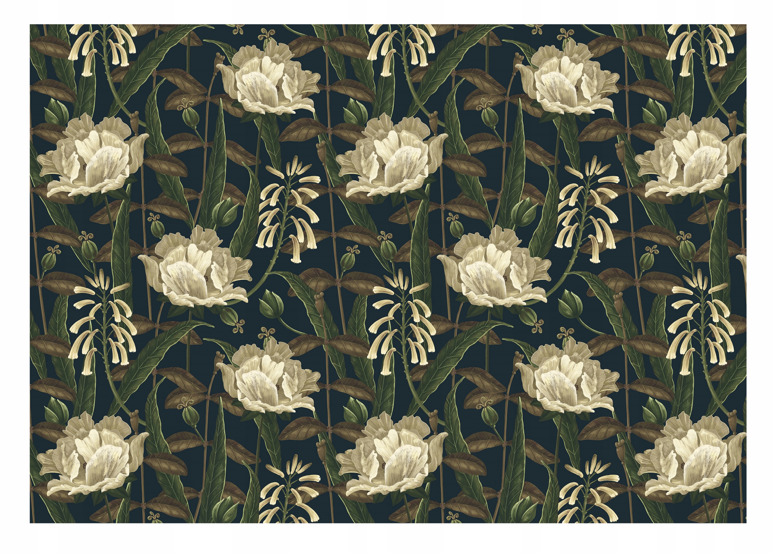 Fototapeta Květy Listy Rostliny Pivoňky 368x254