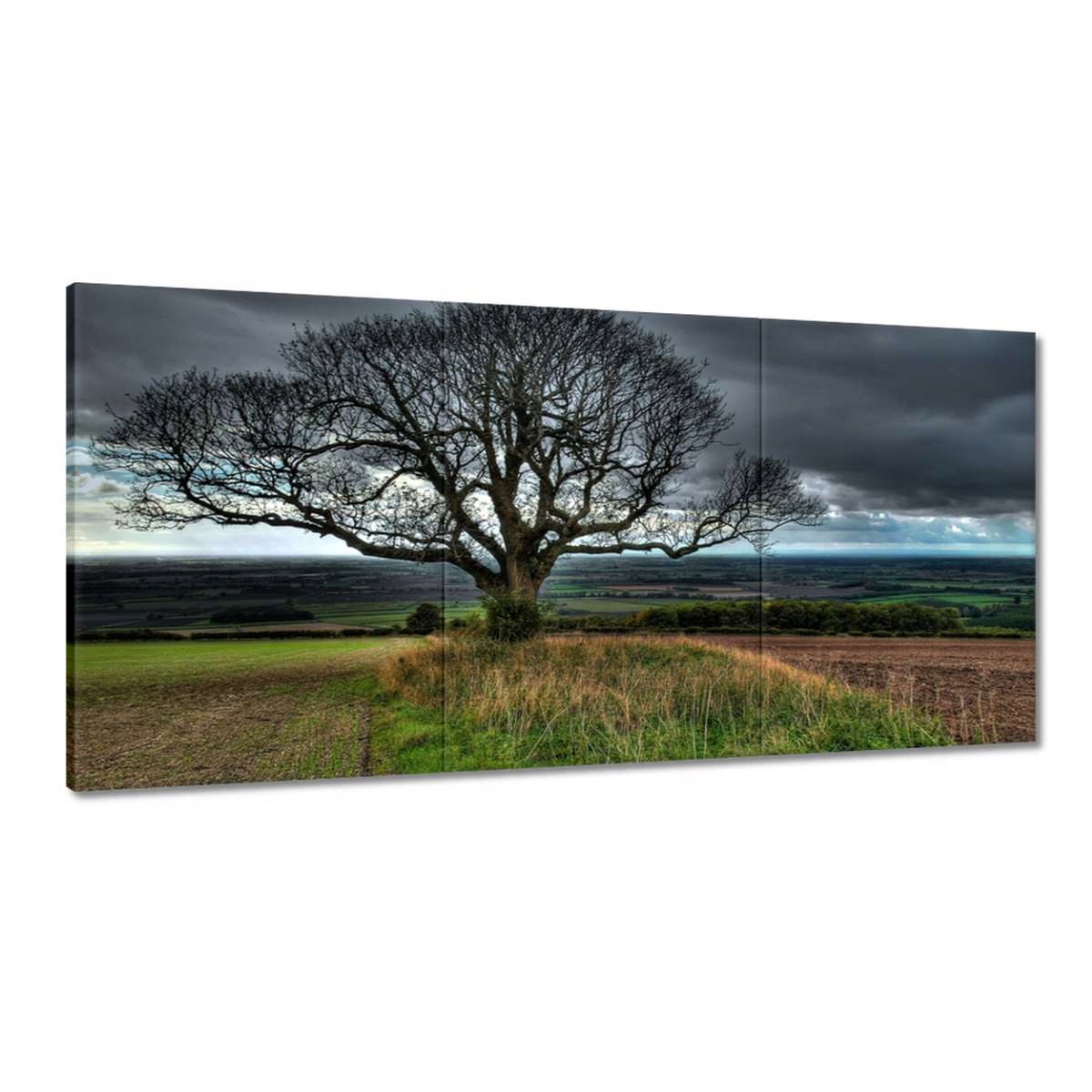 Obrazy 180x90 Strom krajina