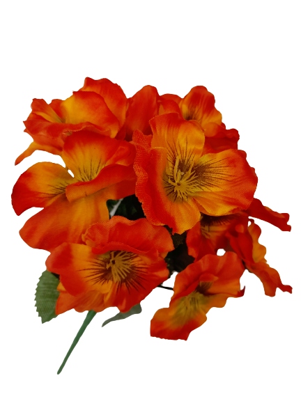 

bratki Bukiet Bratków maki Kwiatów maków bukiecik