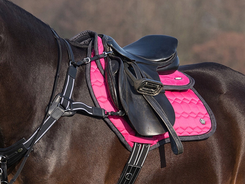 QHP podkładka pod siodło Eldorado Memory Foam PONY Marka QHP