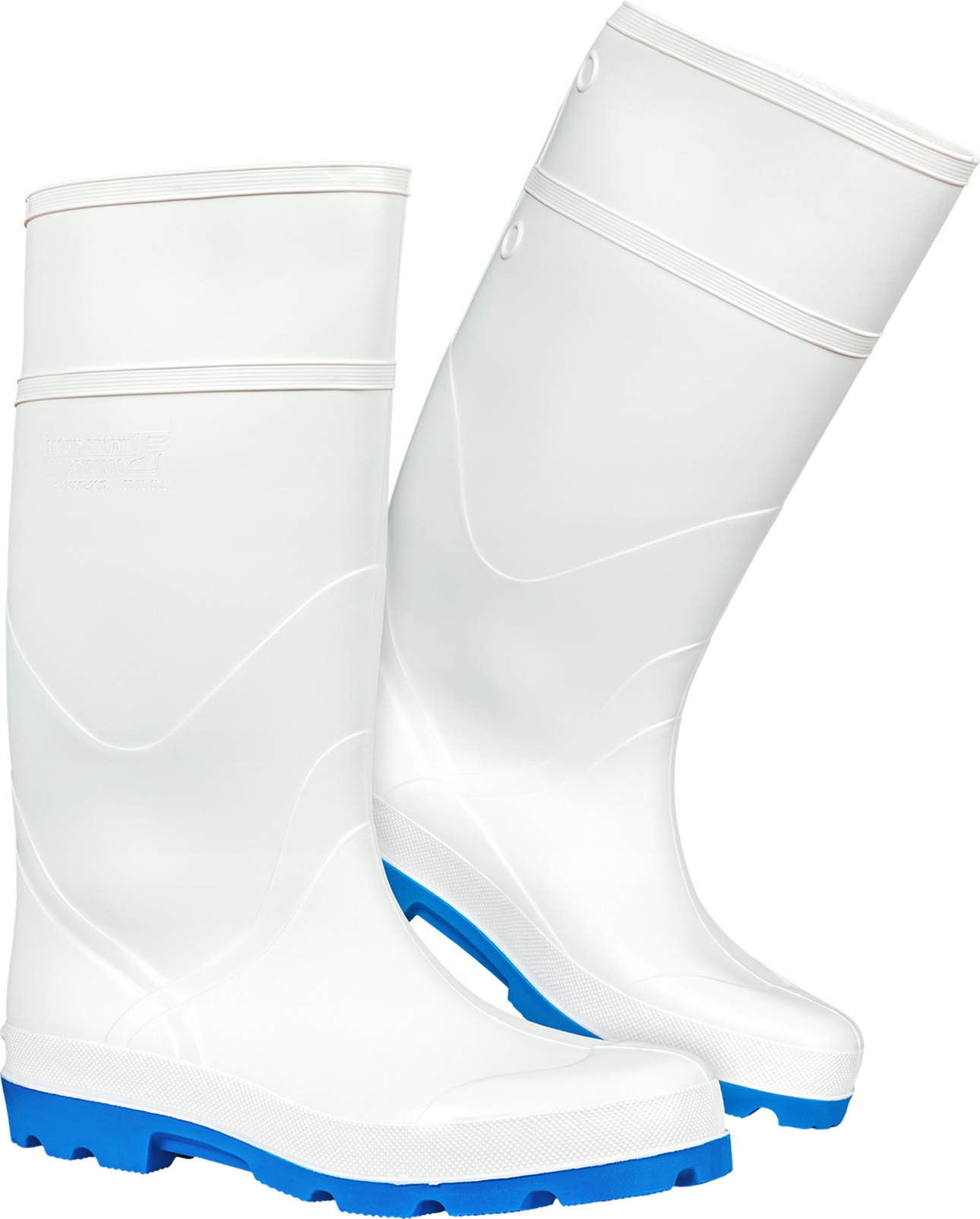 

Gumowce, przemysł spożywczy BFSD13012PRO W r. 44