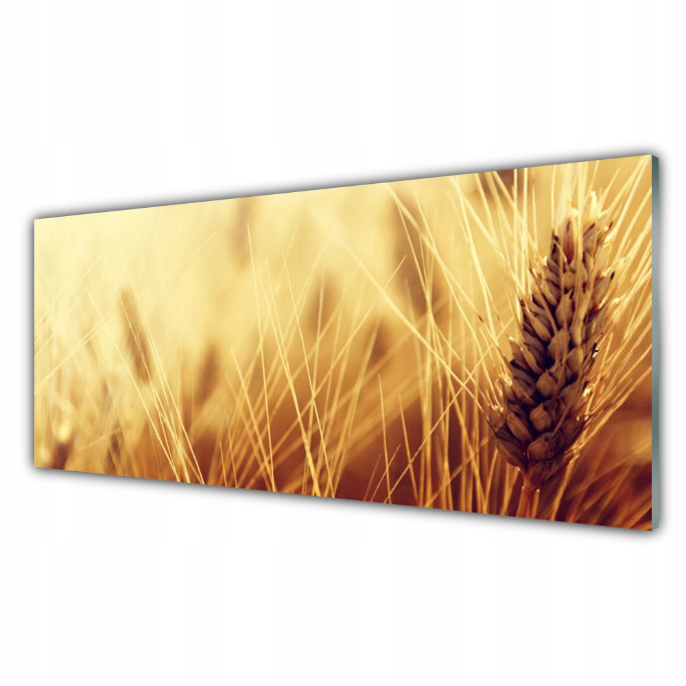 

Fotoobraz wiszący 125x50 Pszenica Roślina Natura