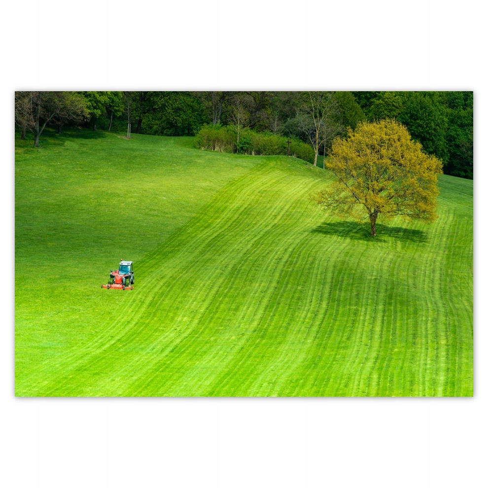 

Plakaty 93x62 Pole golfowe