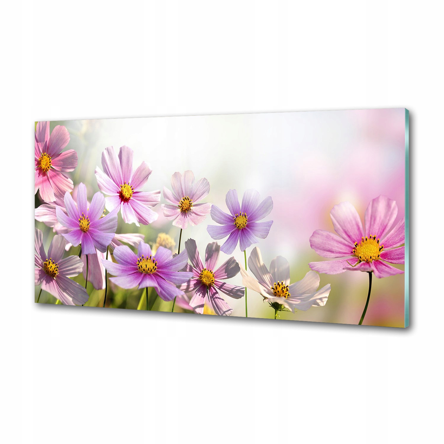 Panel do kuchyne Kvety na lúke 120 x 60 cm Lepidlo