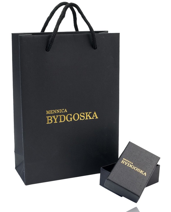 ZŁOTY NASZYJNIK SKRZYDŁO, ŁAŃCUSZEK DAMSKI Z ZAWIESZKĄ SREBRO PRÓBA 925 Płeć kobieta