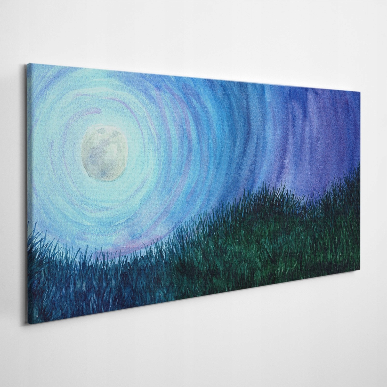

Fotoobraz na płótnie Pełnia Księżyca Łąka 120x60