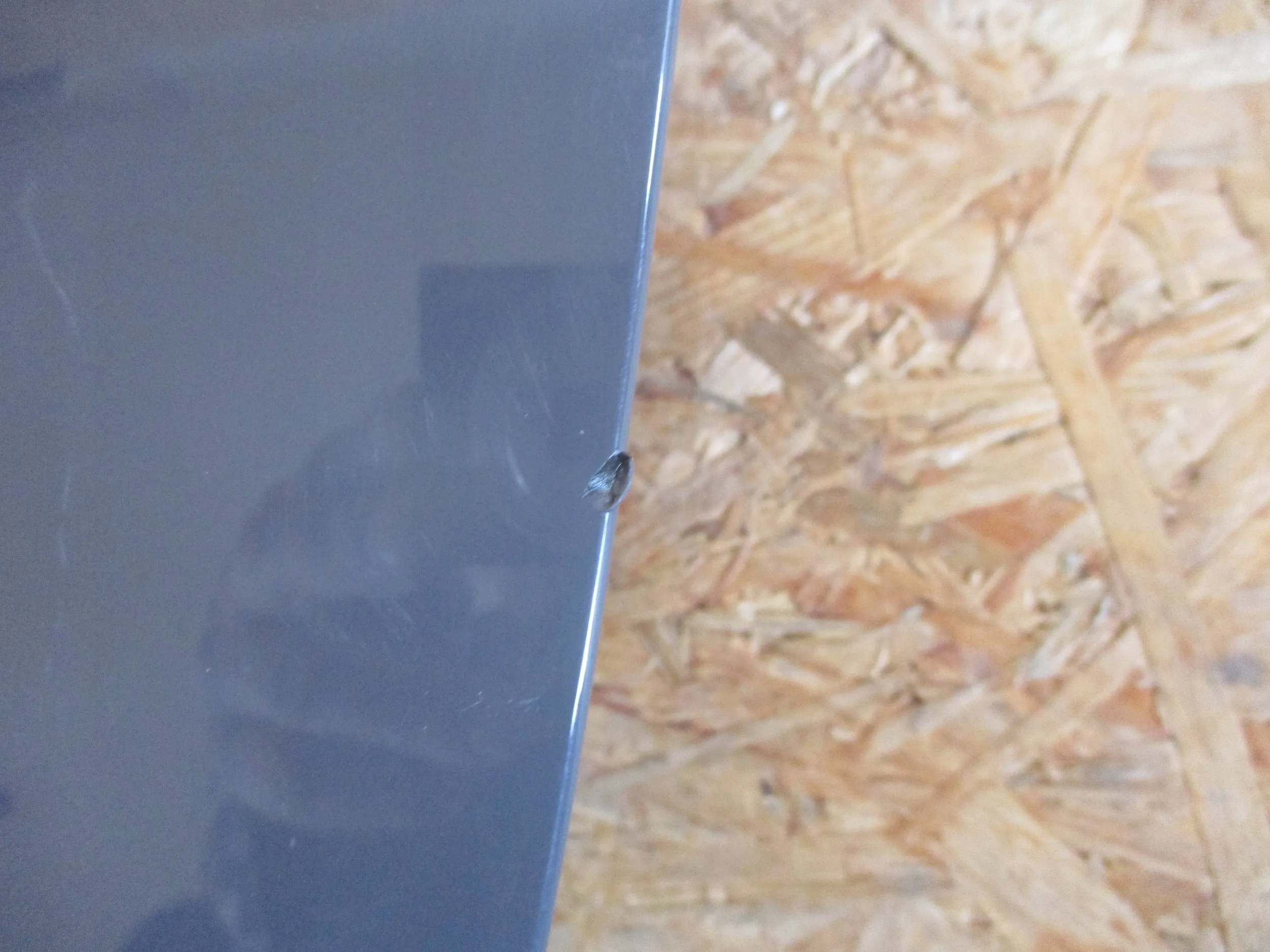 BLENDA KLAPY TYŁ CUPRA FORMENTOR Typ samochodu Samochody osobowe