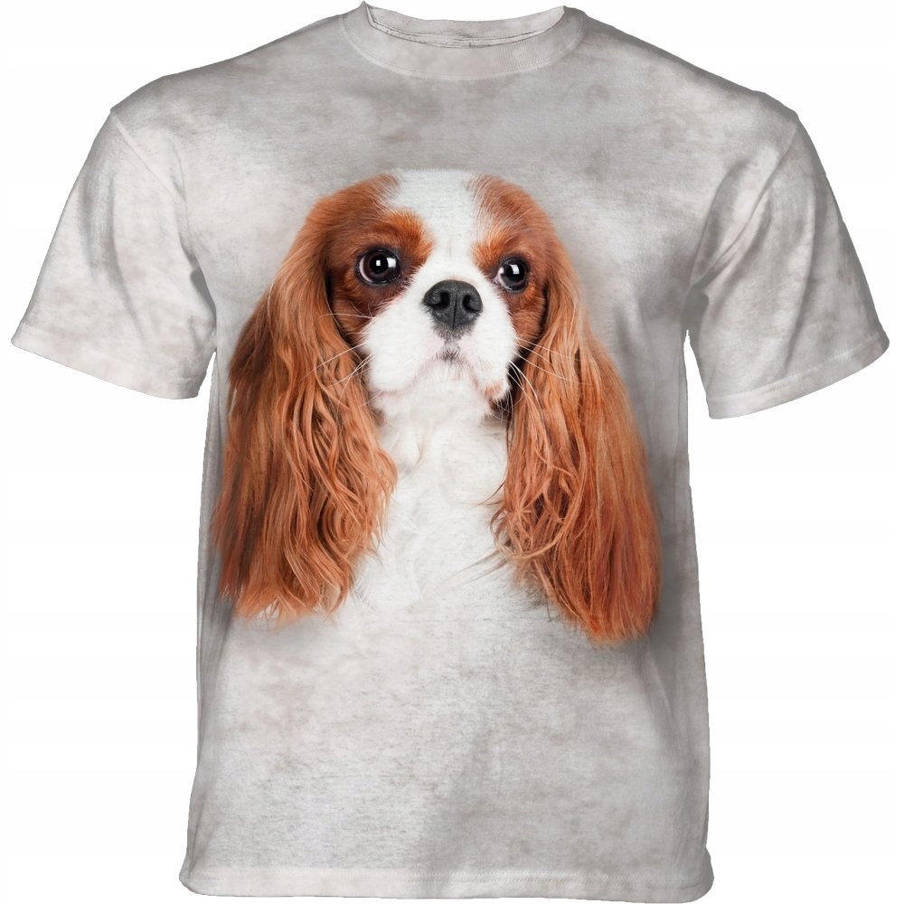 

Cavalier King Charles Spaniel The Mountain L