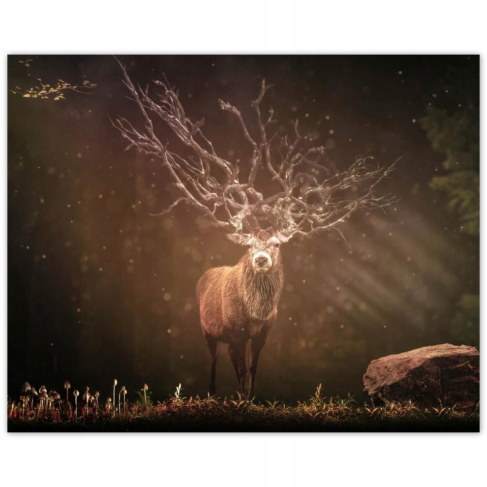 

Plakat 50x40 Jeleń Jelenie Rogacz