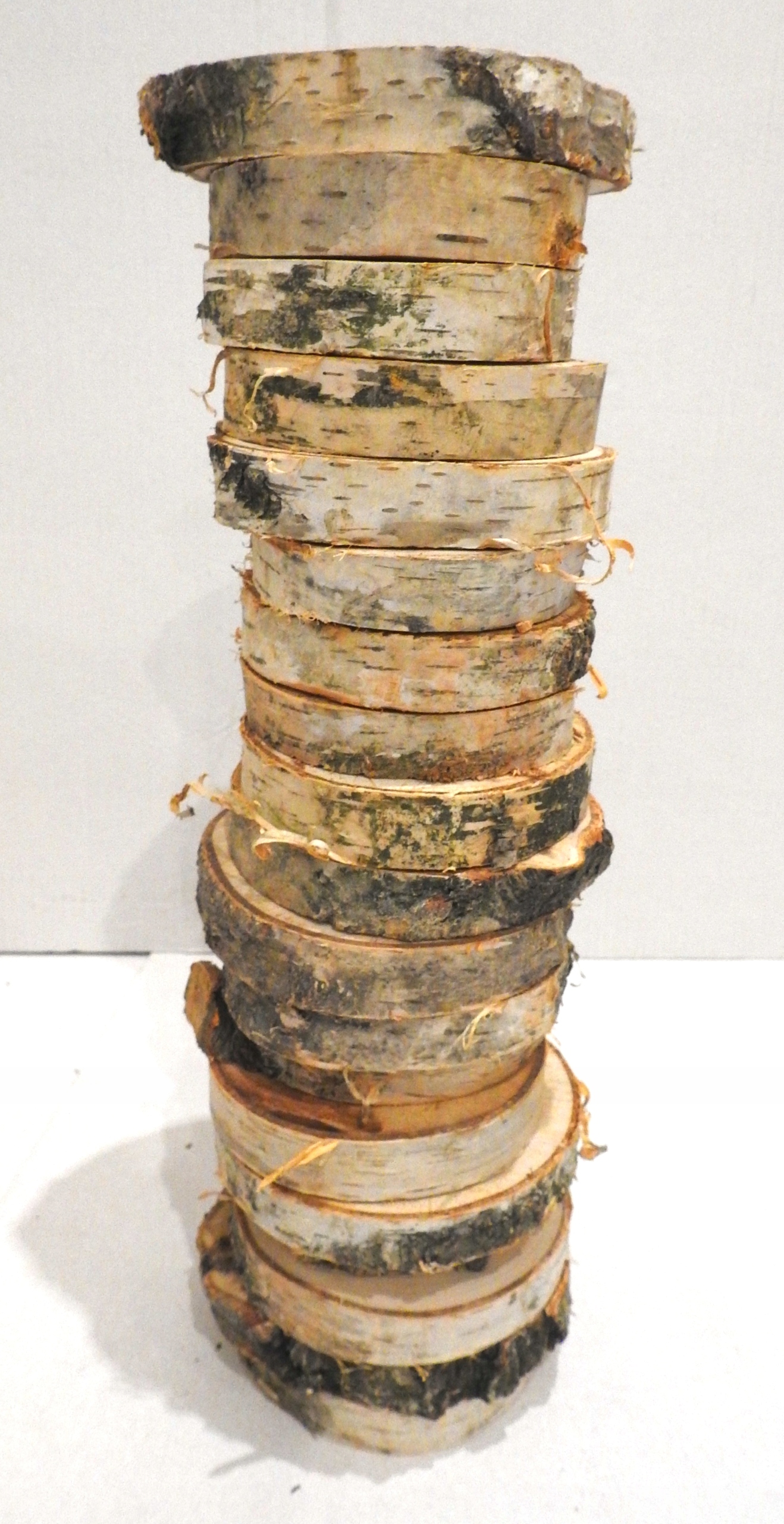 

Plaster Drewna Krążek Pieńiek Brzoza 10-13CM,15SZT