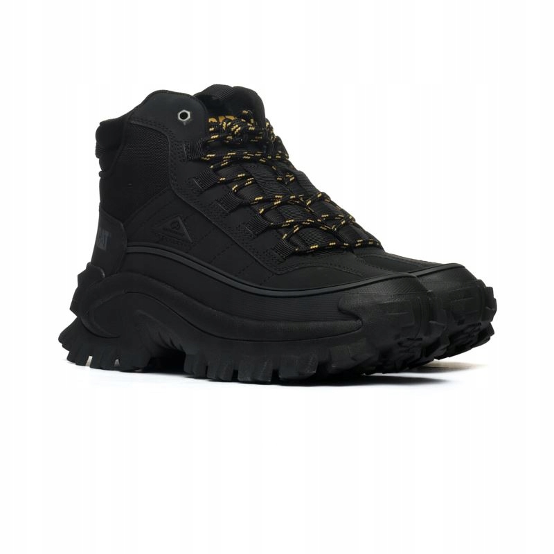 Cat Intruder P111559 44