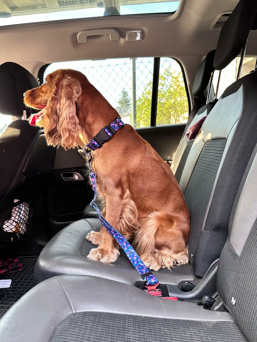 Bezpečnostní pás pro psa do auta Astroworld, ruční výroba