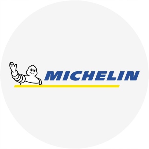 1x 195/55/20 H Michelin Alpin 6 ZIMOWE Marka Michelin