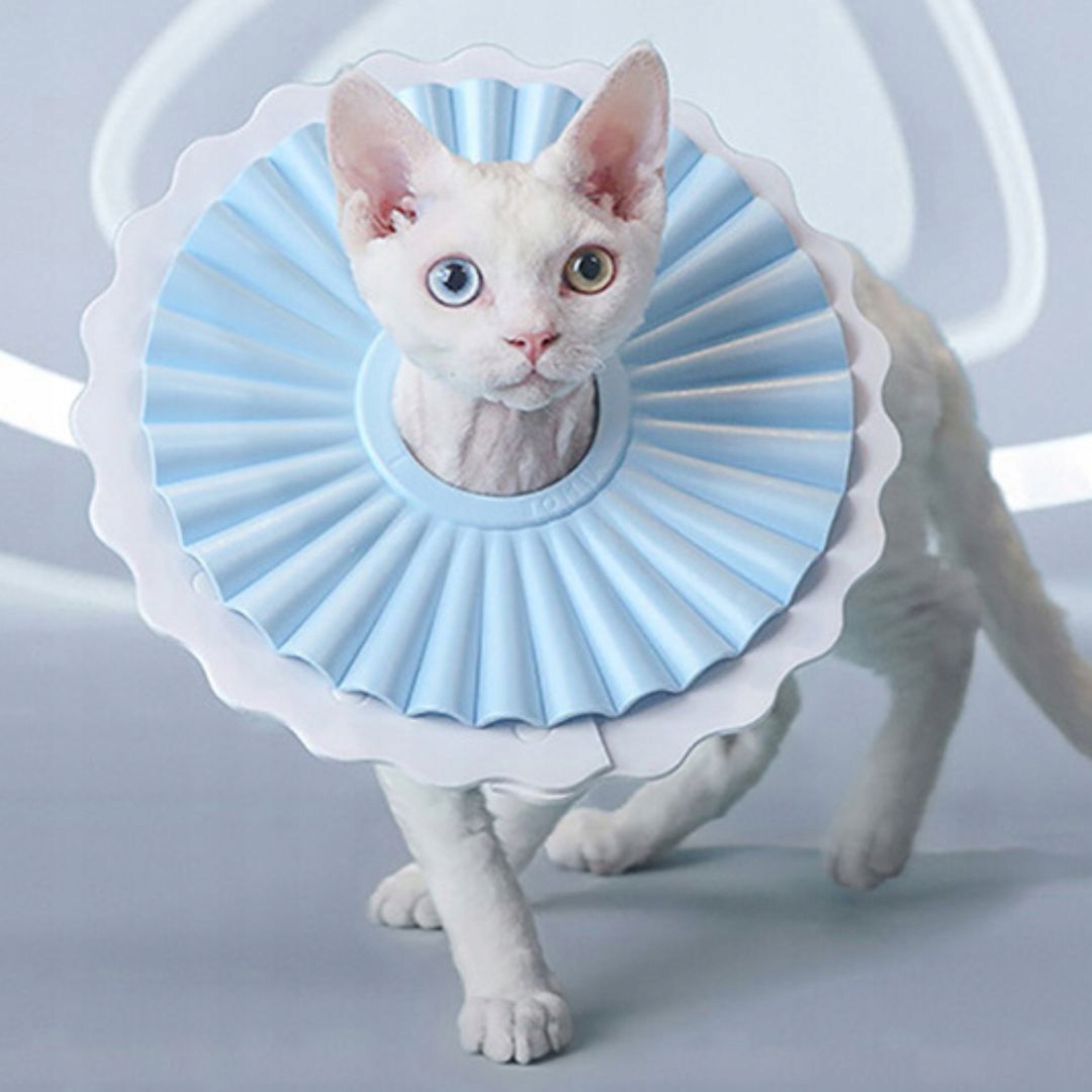 Levně Pěnový límec po zákroku pro kočky a malého psa Elizabeth modrý M