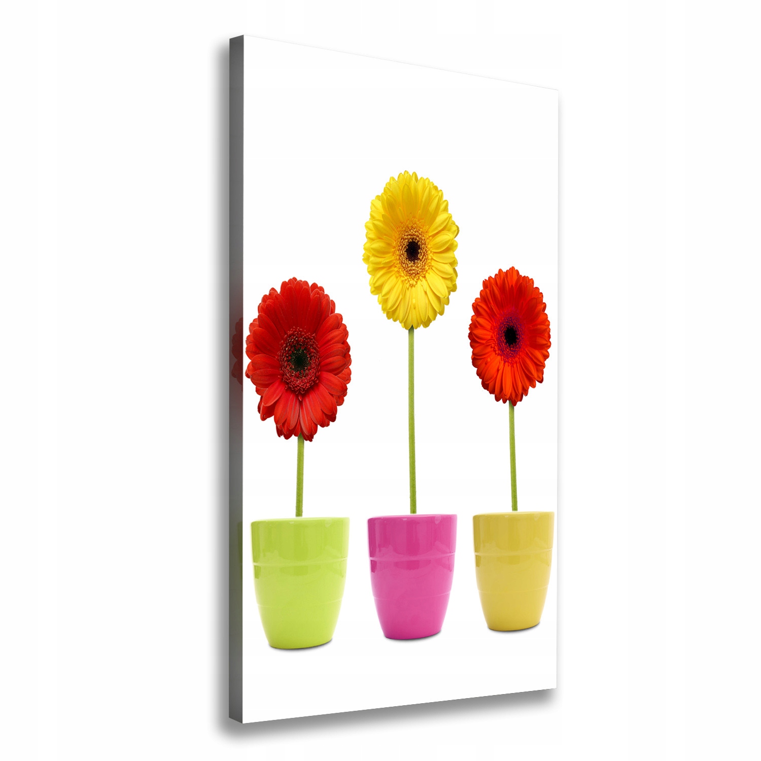 

Foto obraz na płótnie Kolorowe gerbery 60x120 cm