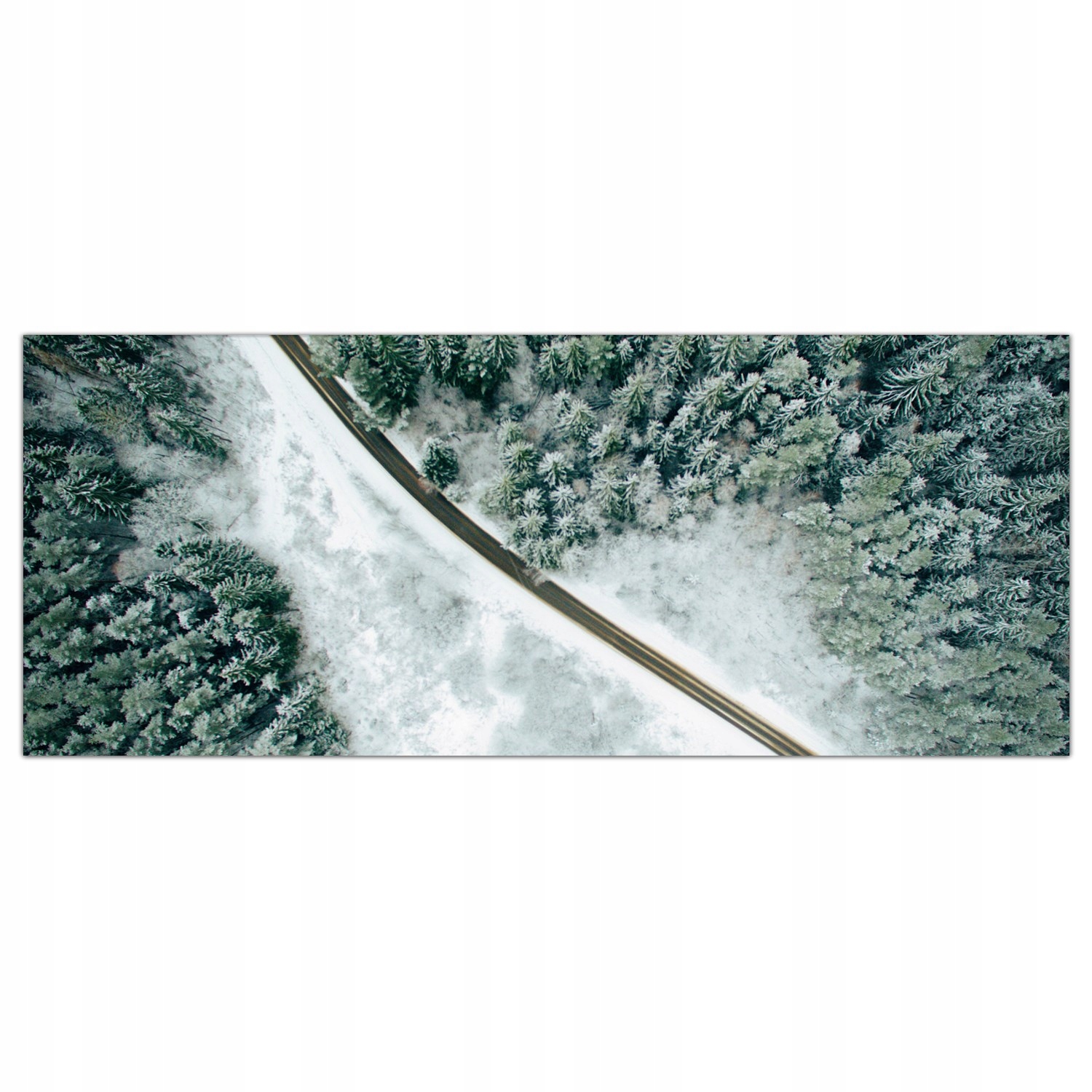 

Obraz na szkle Foto Śnieg Zima Las Drzewa 125x50