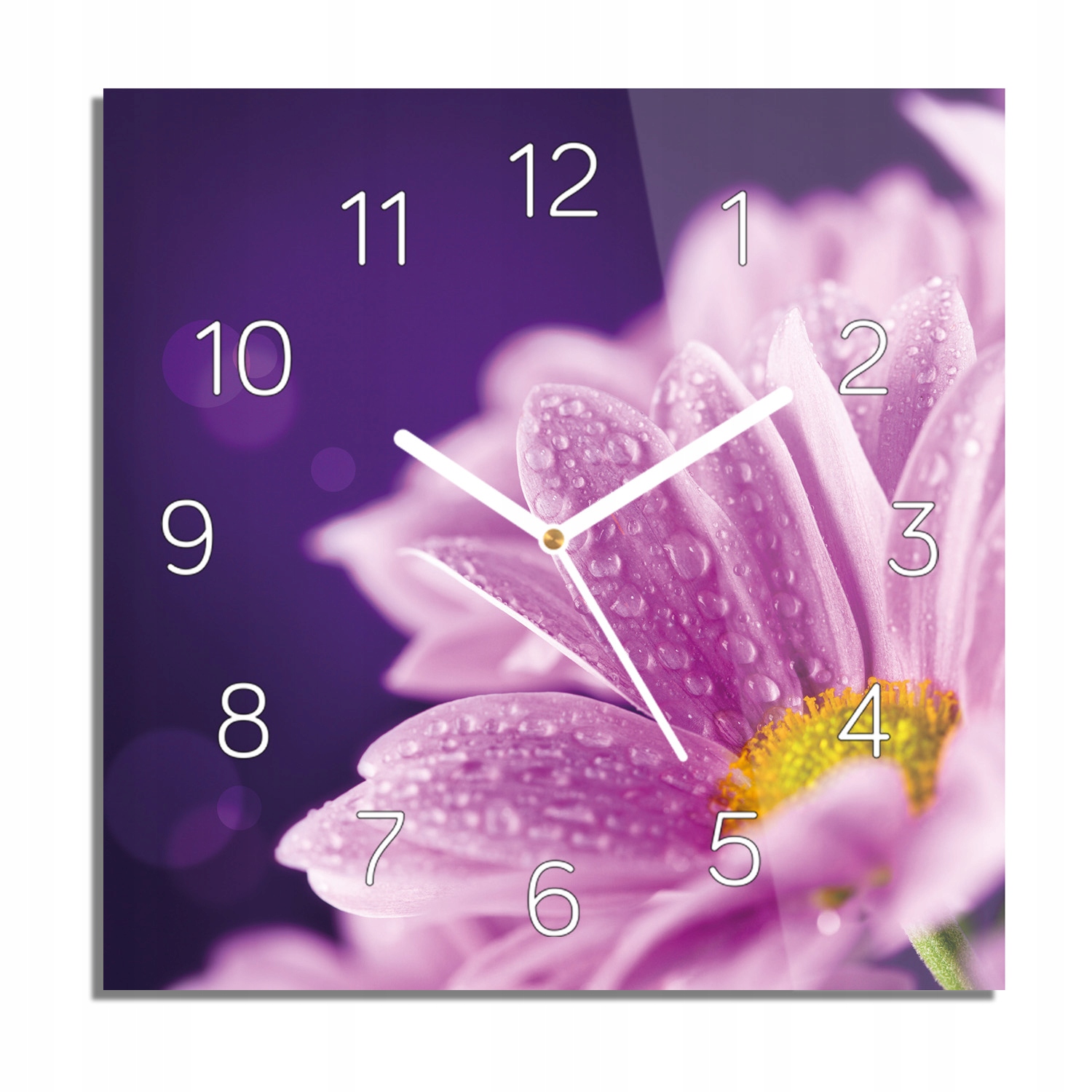 

Stokrotka rosa kwiat foto-zegar do jadalni 30x30