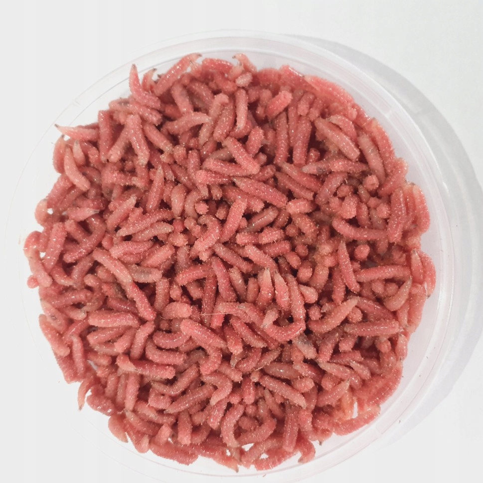 ROBAK PINKA BORDO OP. 100 ML