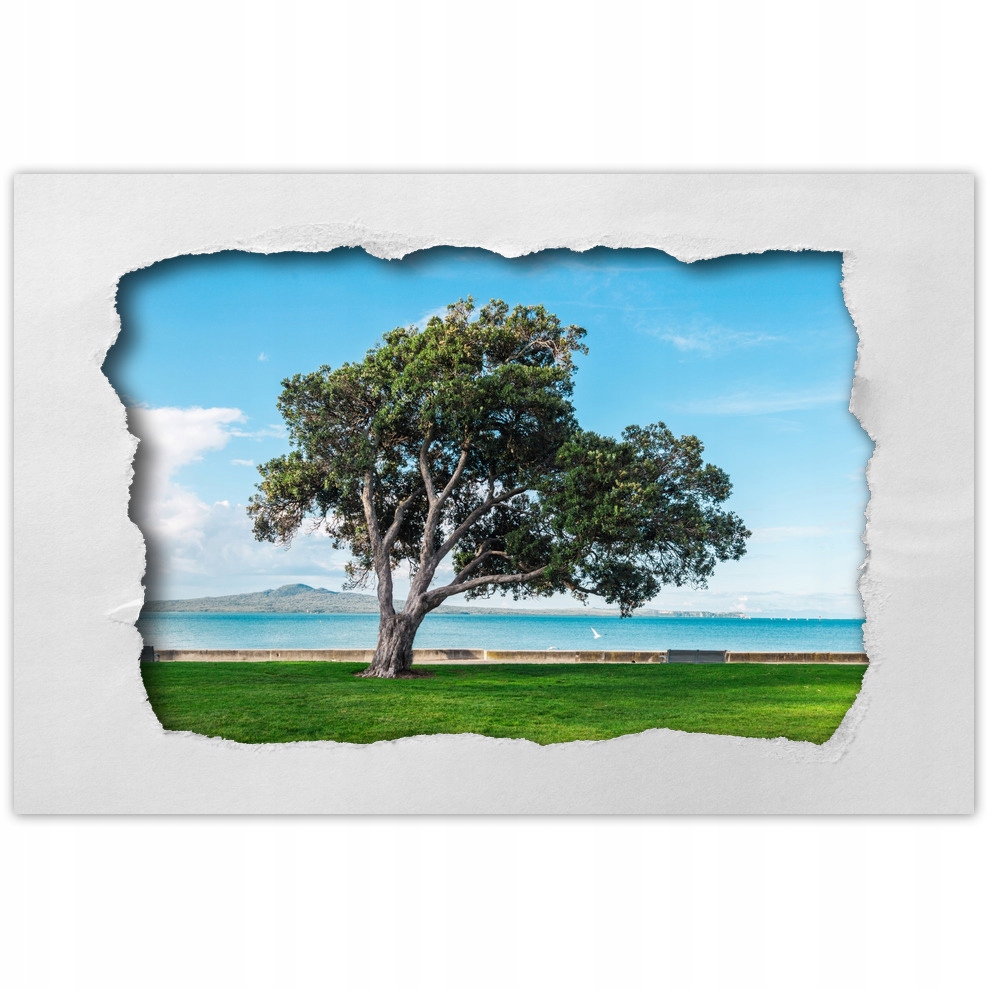 

Naklejki 120x80 Drzewo nie do złamania