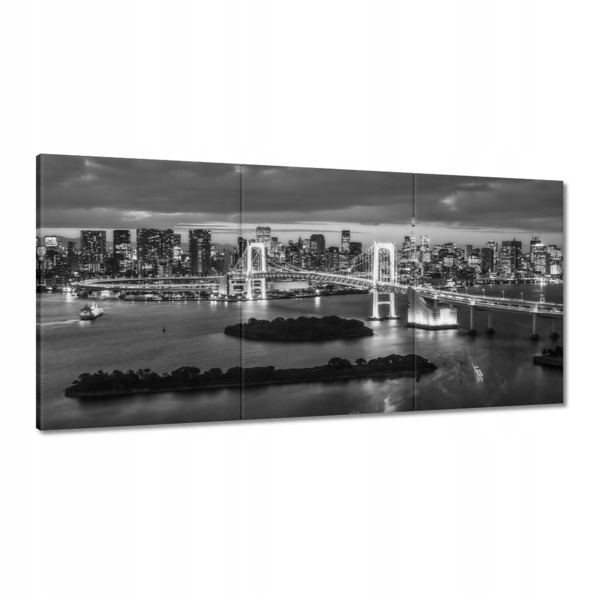 Obrazy 180x90 Tokio Eiffelova veža Most