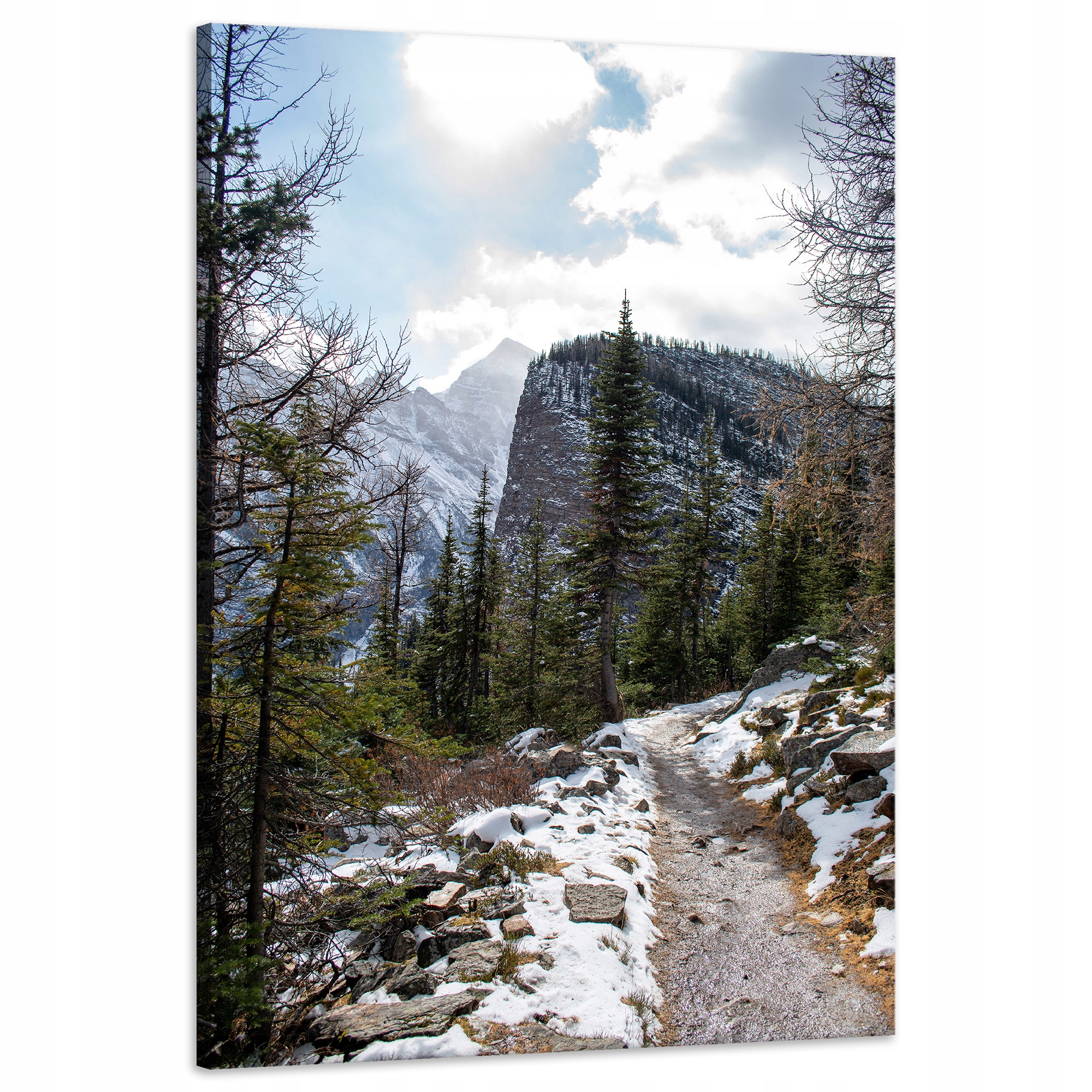 Obraz Canvas Příroda Hory stezka cesta 60x90 cm