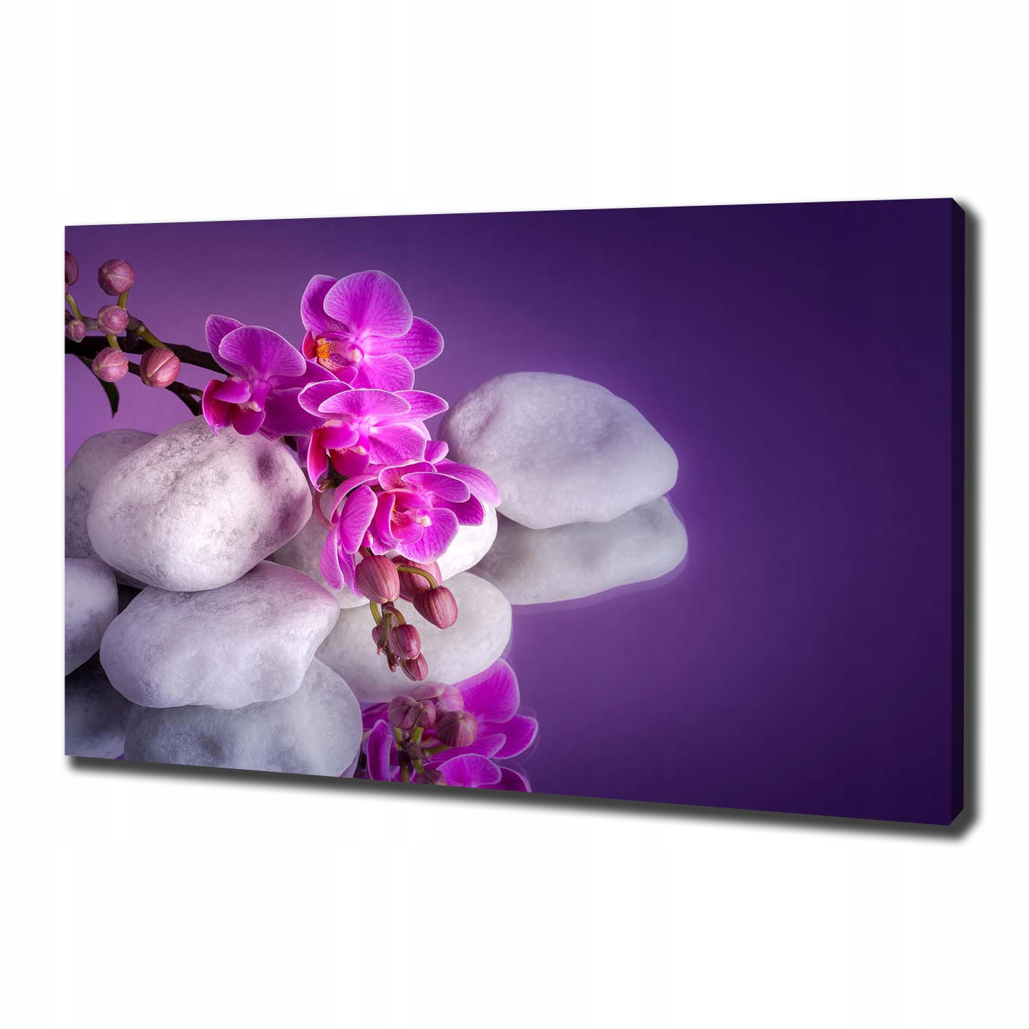 

Foto obraz canvas na ścianę Orchidea 100x70 cm