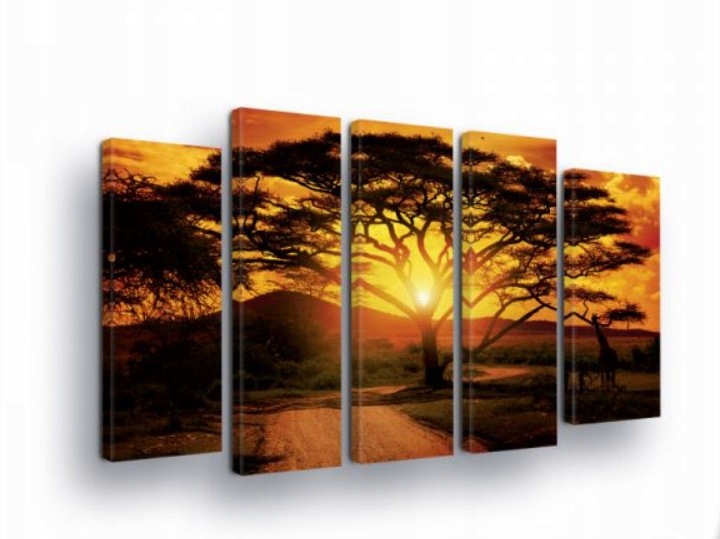 Obraz 150x100 Savana Afrika západ slnka strom akácia príroda krajina