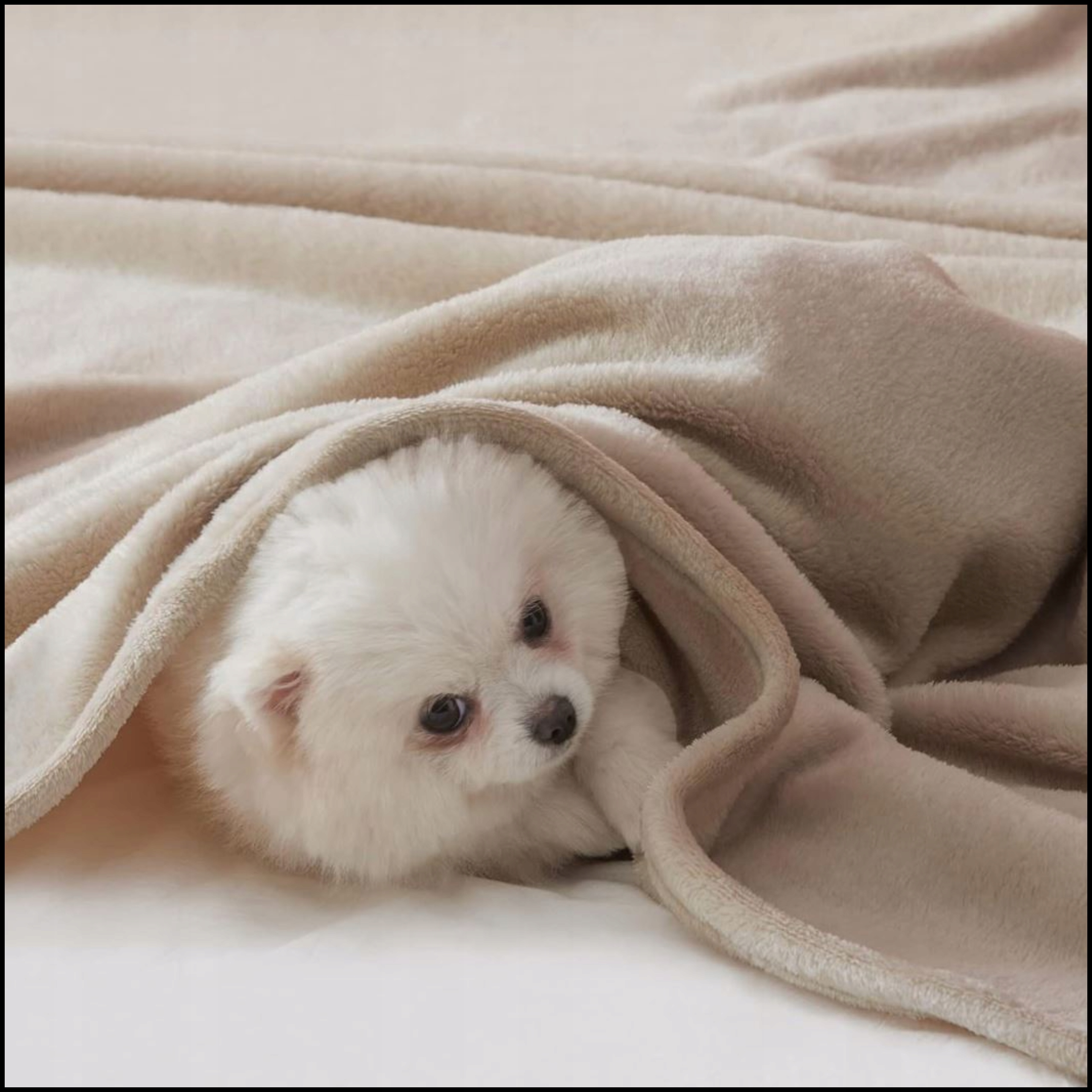 Pled na Łóżko i Kanapę: Miękki Koc Narzuta z Mikrofibry 160x200 beżowy Długość 200 cm