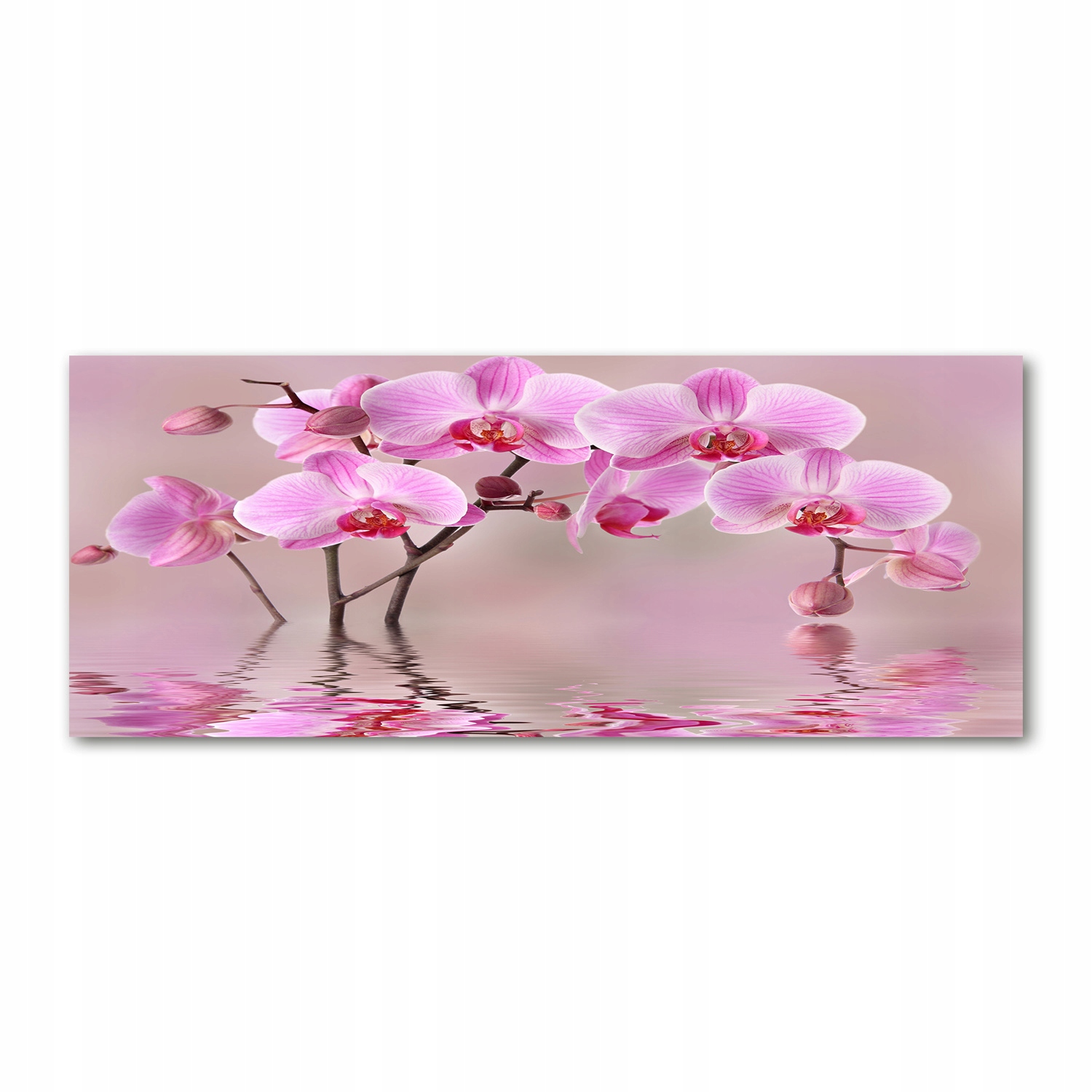 

Foto obraz akryl zdjęcie Różowa orchidea 125x50 cm