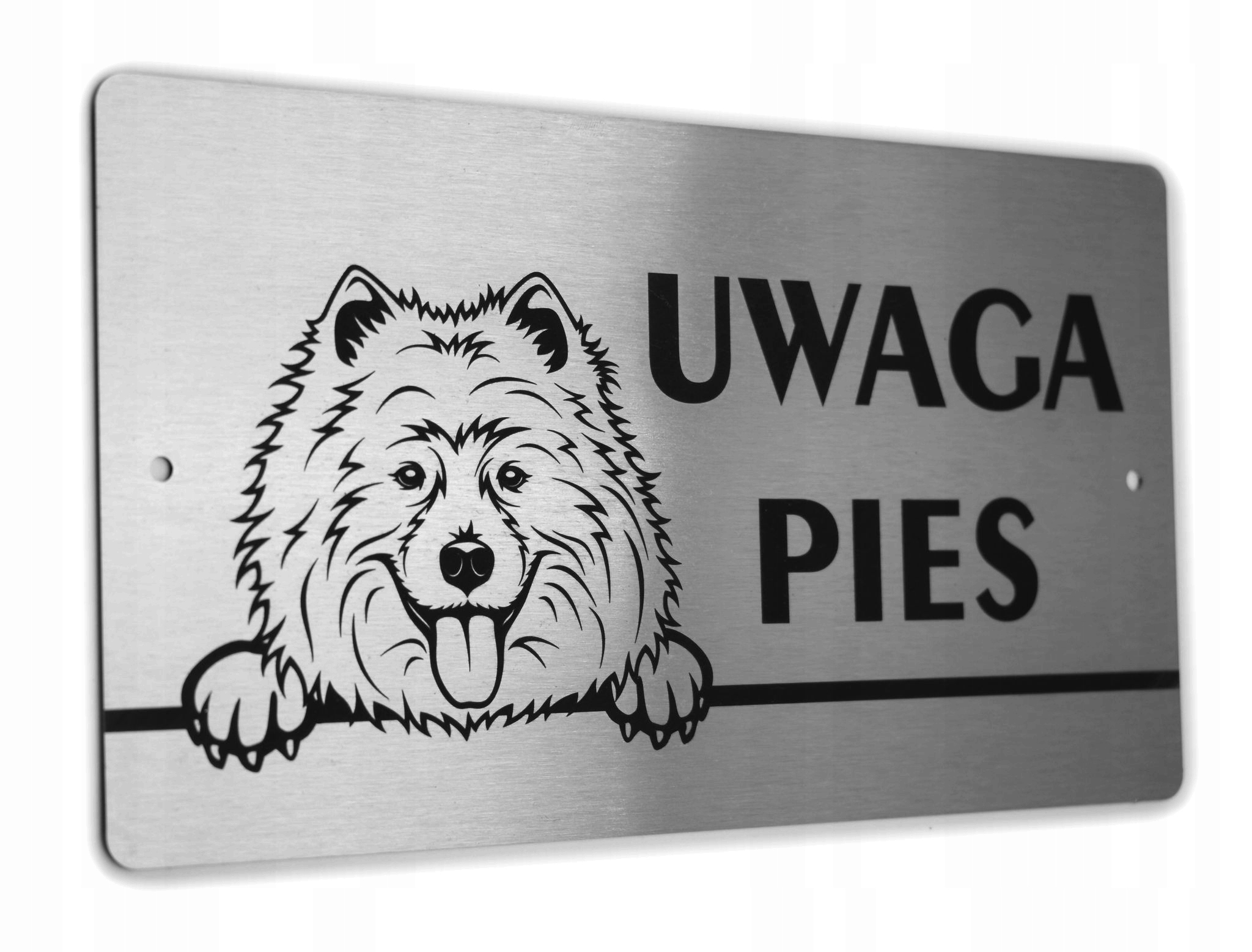 Tabliczka INOX - UWAGA PIES - Samojed / Samoyed