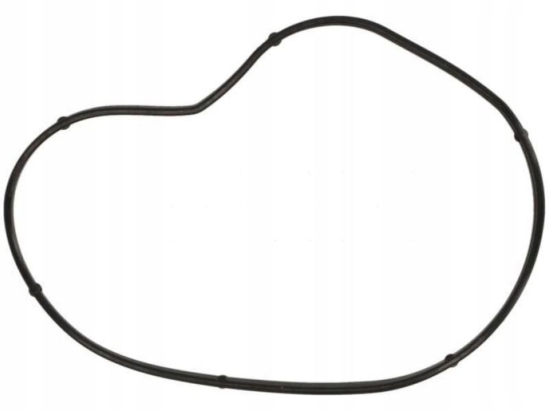 01099900 - Прокладка водяного насоса ALPINA B5 E60 4.4 E61 4.4