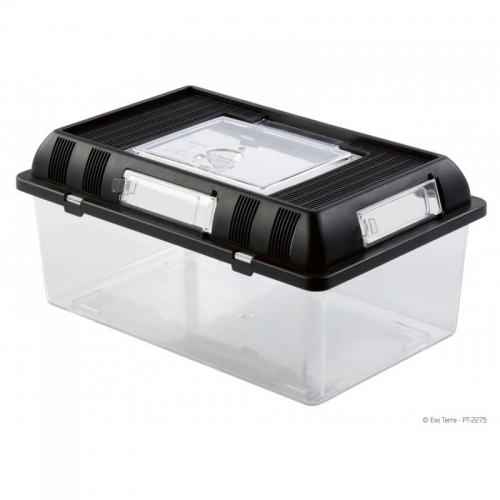Levně Exo Terra Box Chovný M 30 X 19,5 X 15 CM