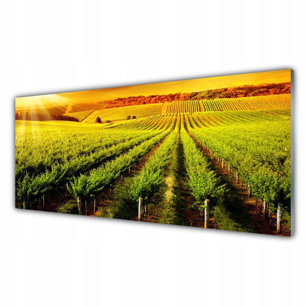 

Obraz akryl z grafiką wiszący 125x50 Pole Natura